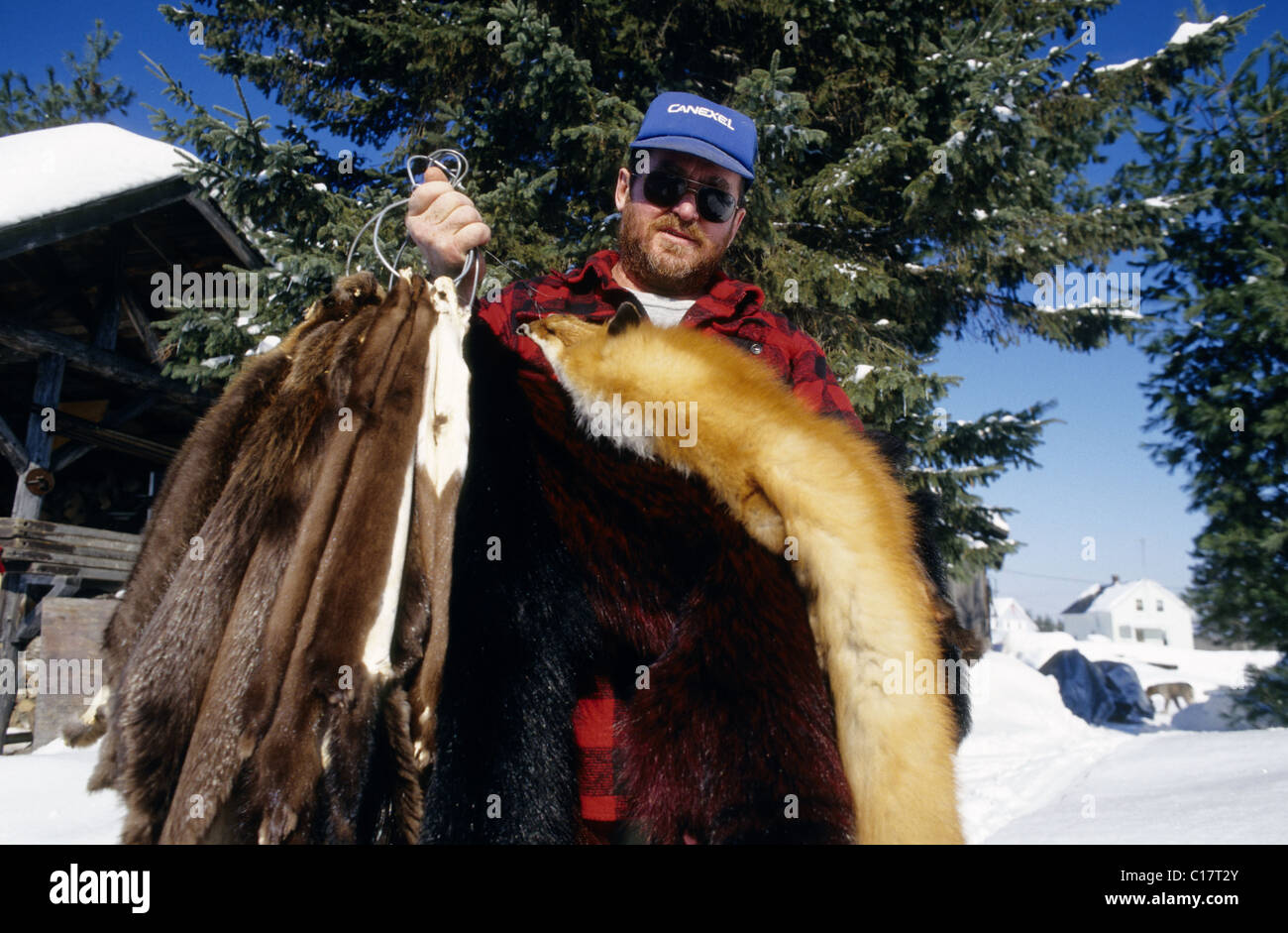 Kanada, Provinz Quebec, Trapper präsentiert seine Pelze Stockfoto