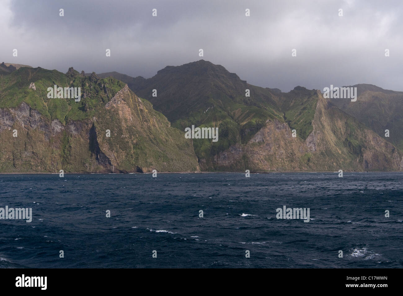 Gough-Insel. Seltene ungewöhnliche Bild. Inselgruppe Tristan Da Cunha, Süd-Atlantik. Stockfoto