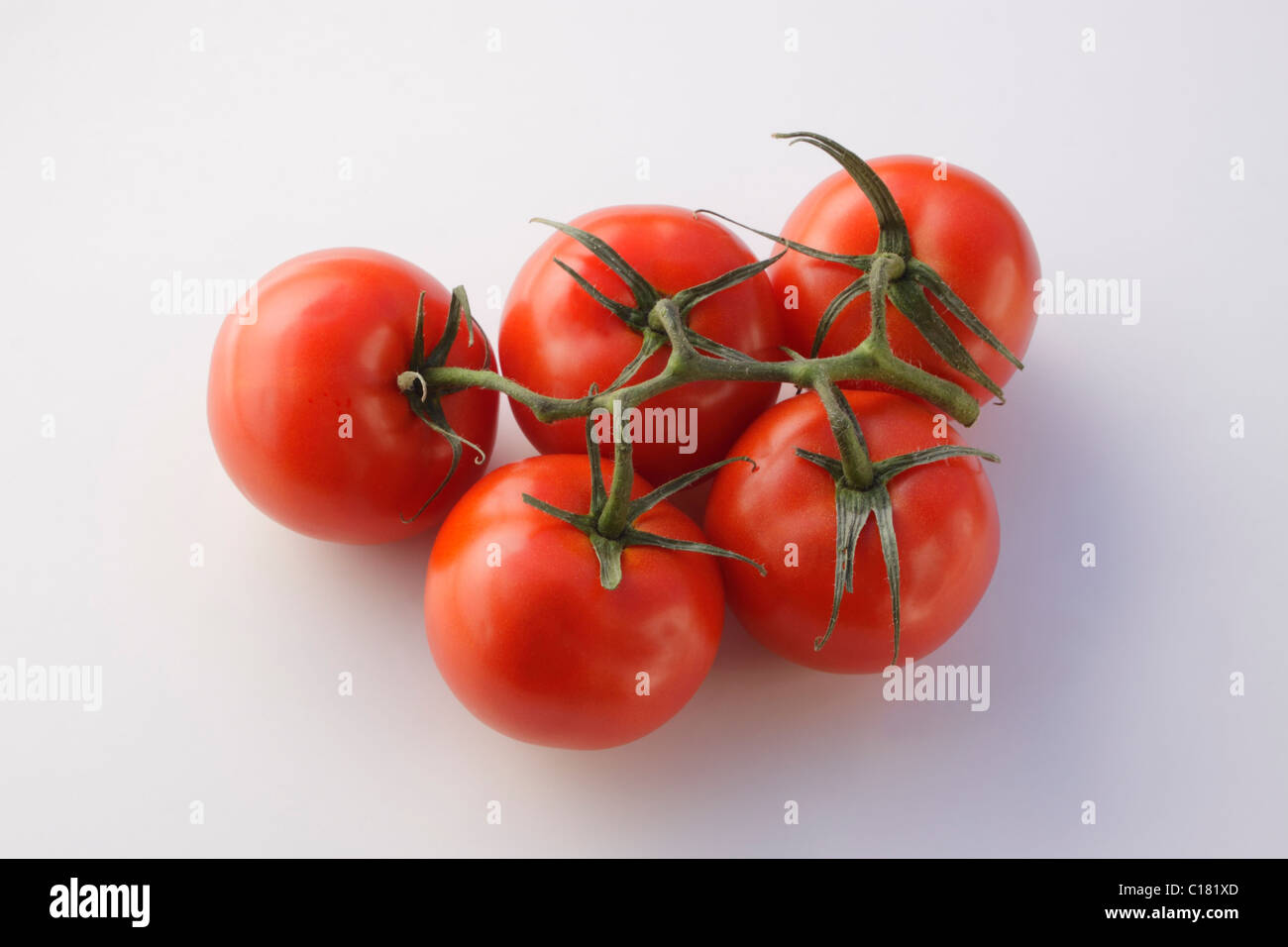 Nahaufnahme von Tomaten auf Stammzellen isoliert Stockfoto