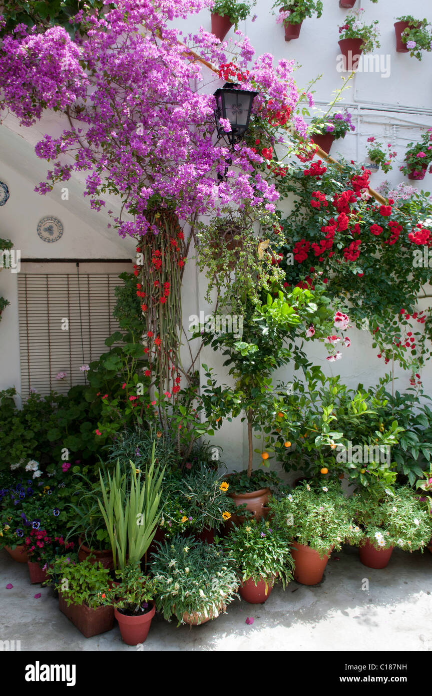 Floral Terrassen von Cordoba Spanien Stockfoto