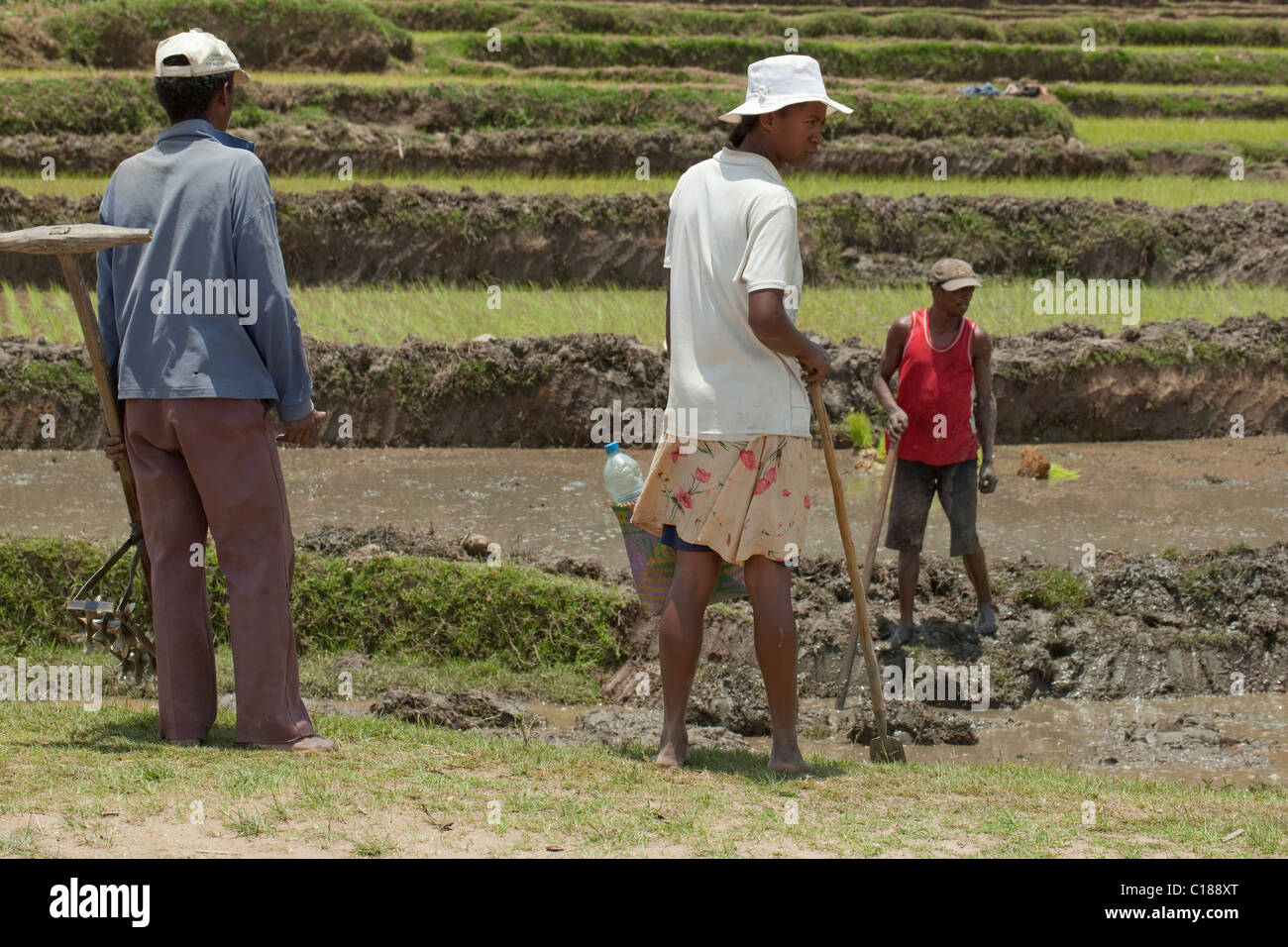 Mann und Frau Außendienstmitarbeiter mit Hand gehalten für Bodenbearbeitung Reispflanzen verwendeten Tools. Madagaskar. Stockfoto