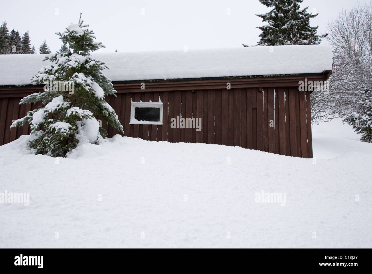 Holzschuppen mit Schnee bedeckt Stockfoto