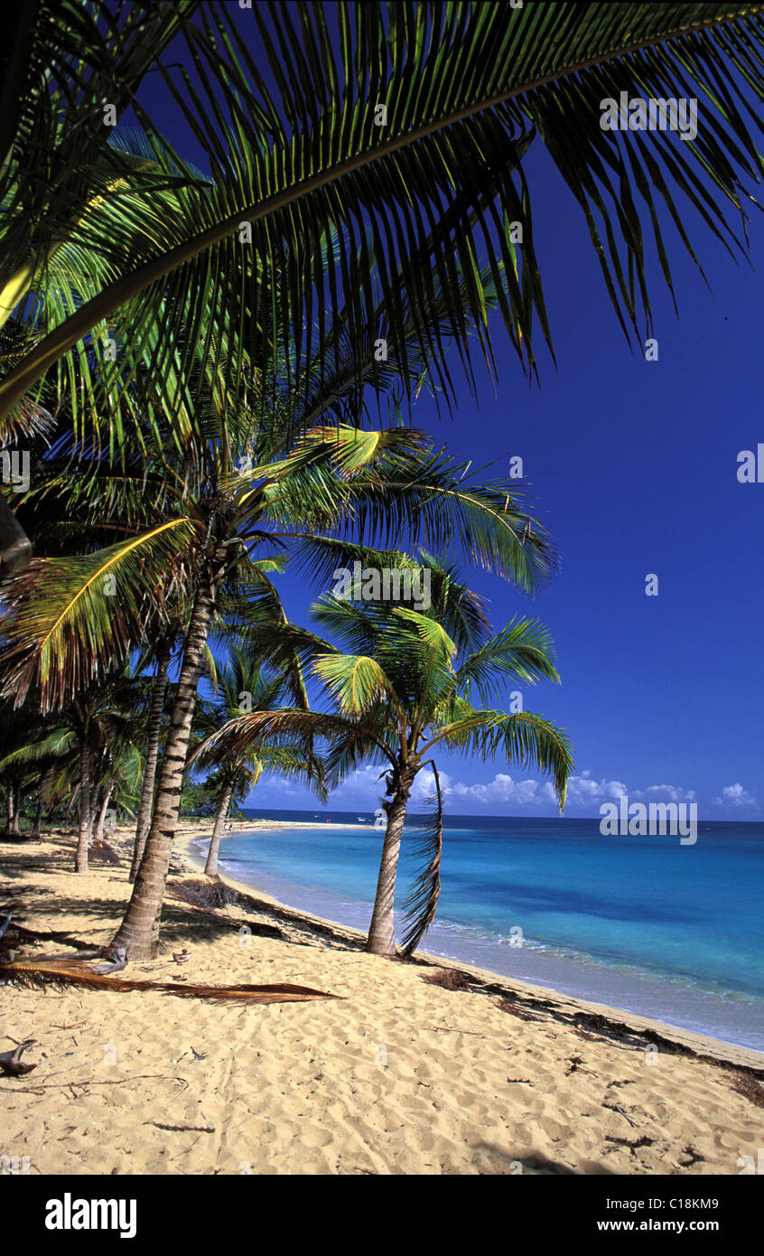Dominikanische Republik, Las Terrenas, die schönsten Strände des Landes Stockfoto