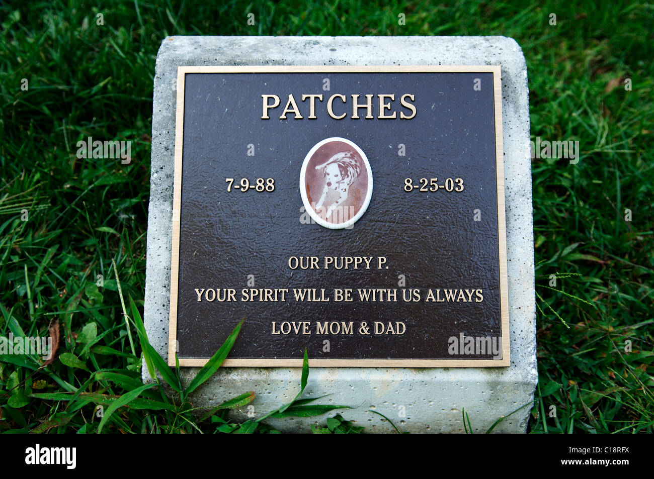 Grabstein eines Hundes in einem Tierfriedhof, Blairstown, New Jersey, USA Stockfoto