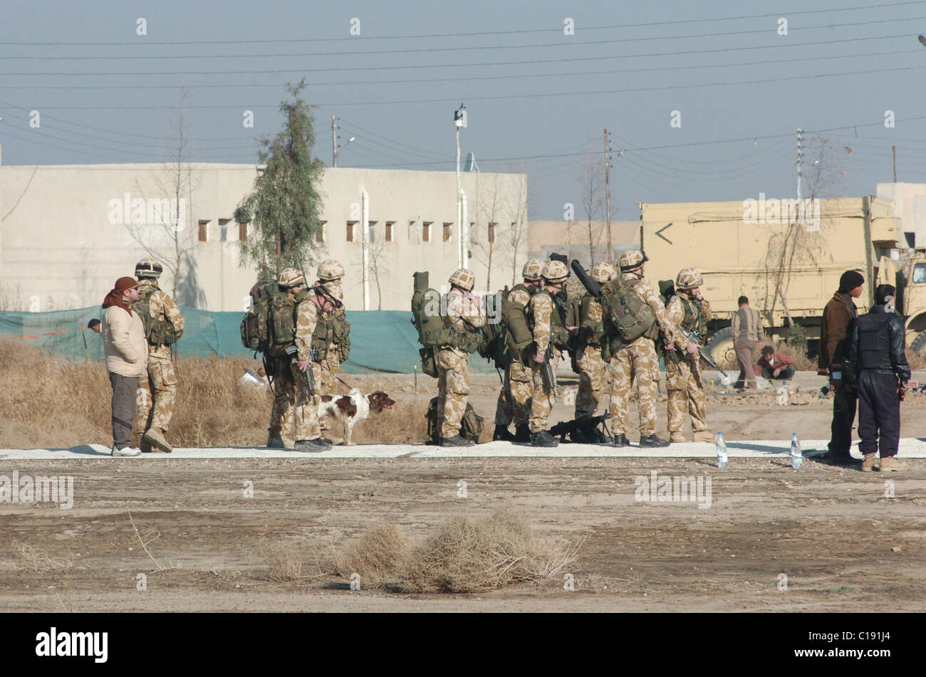 Ausgebildet zu erschnüffeln explosive Ordnance oder Stop Eindringlinge auf einem Sockel, der Militärhunde in Afghanistan eingesetzt häufig lassen sich die Stockfoto