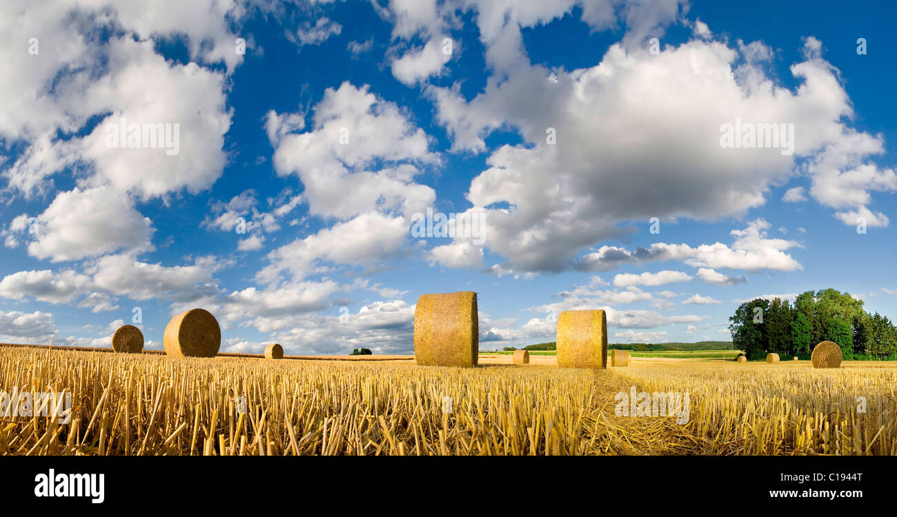 Weitwinkeleinstellung von einem gemähten Getreidefeld Rundballen Stroh unter ungewöhnliche Wolkenformationen in am Nachmittag Licht Stockfoto