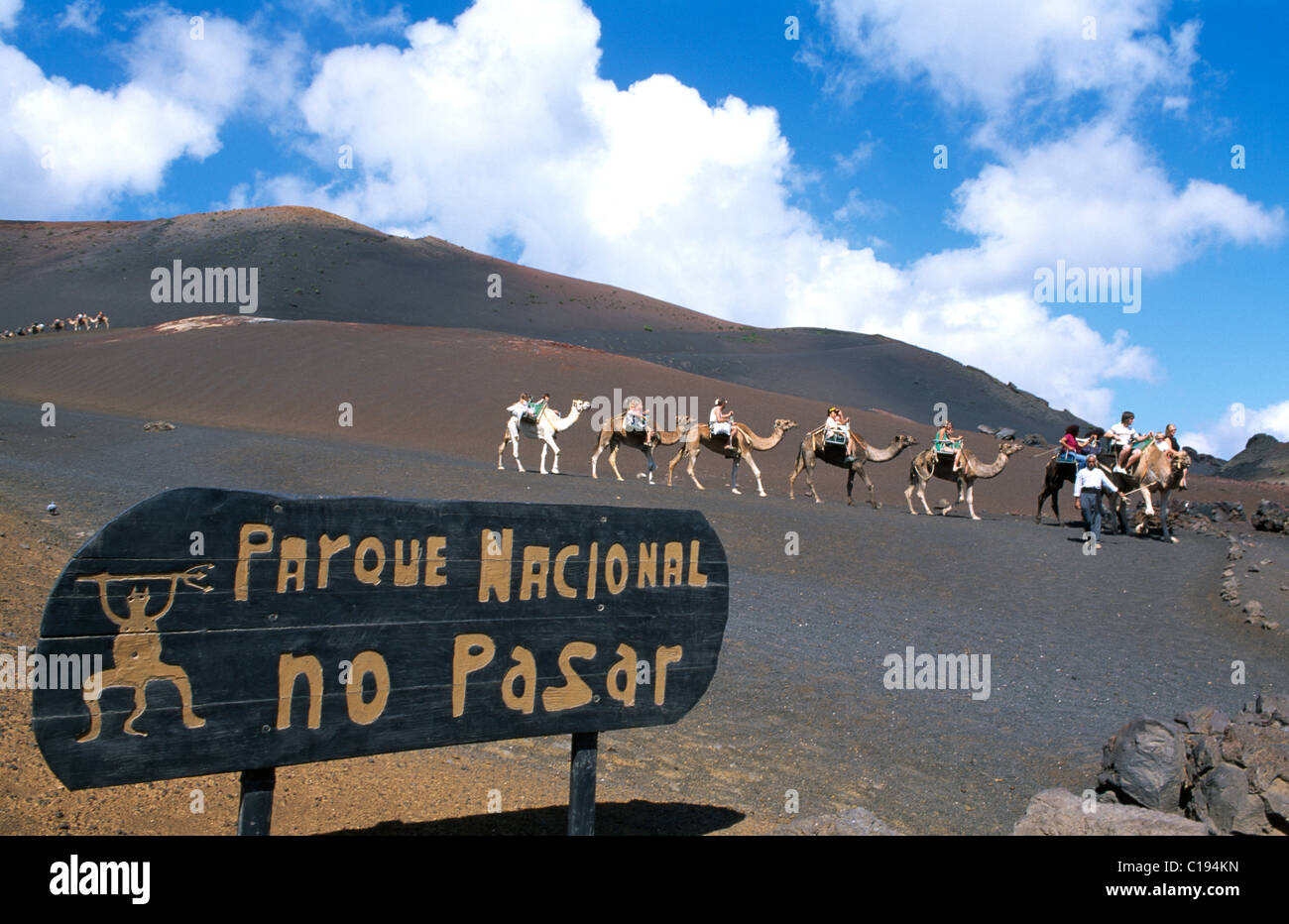 Kamel-Tour im Nationalpark Timanfaya, Lanzarote, Kanarische Inseln, Spanien, Europa Stockfoto