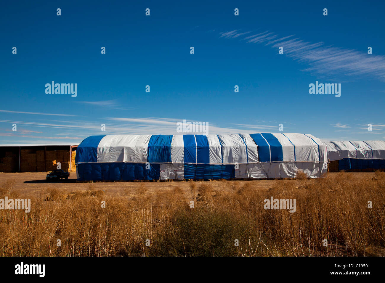 Hay, Calexico, Kalifornien, Vereinigte Staaten von Amerika Stockfoto
