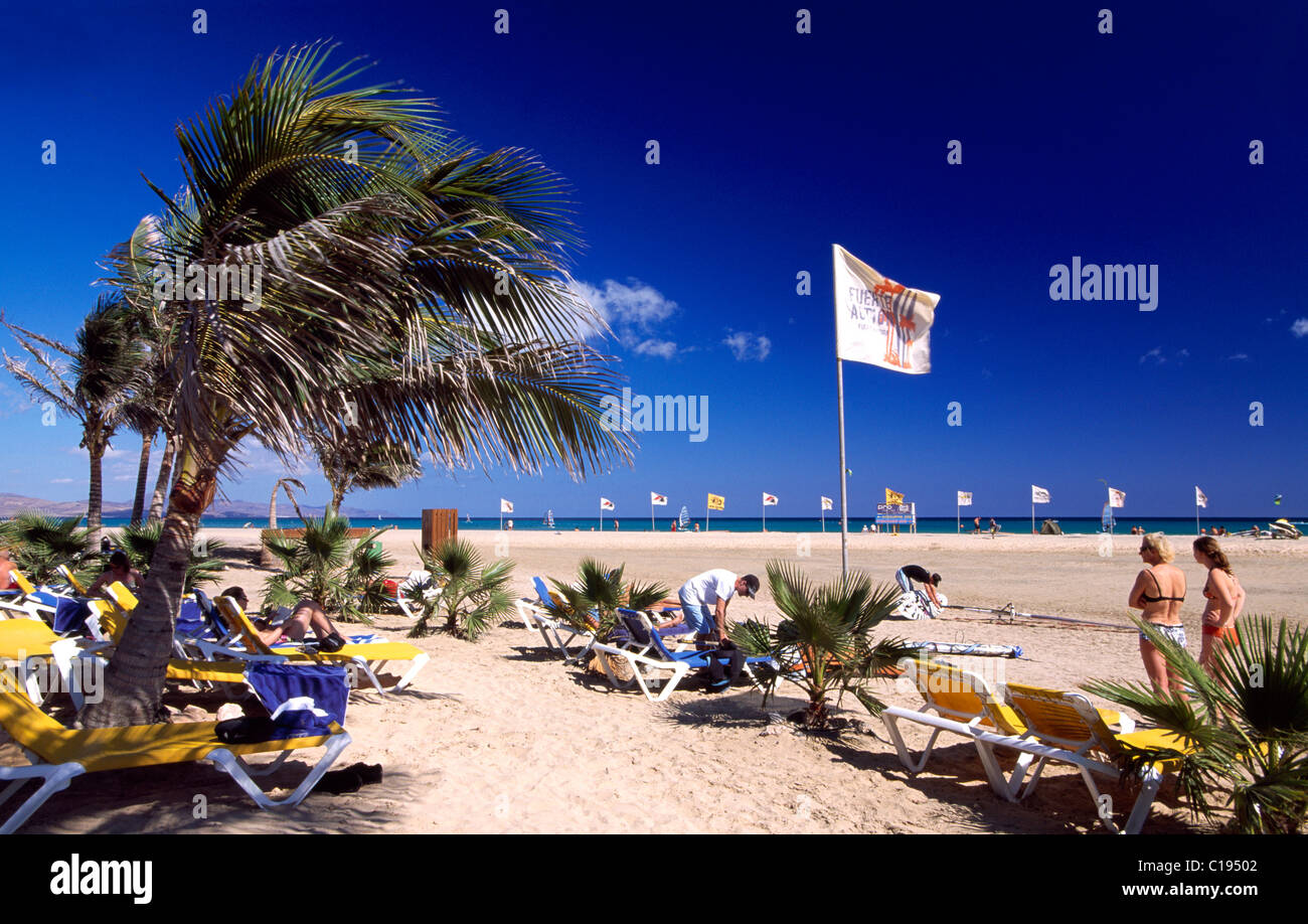 Surfer Strand Playa de Sotavento, Fuerteventura, Kanarische Inseln, Spanien, Europa Stockfoto