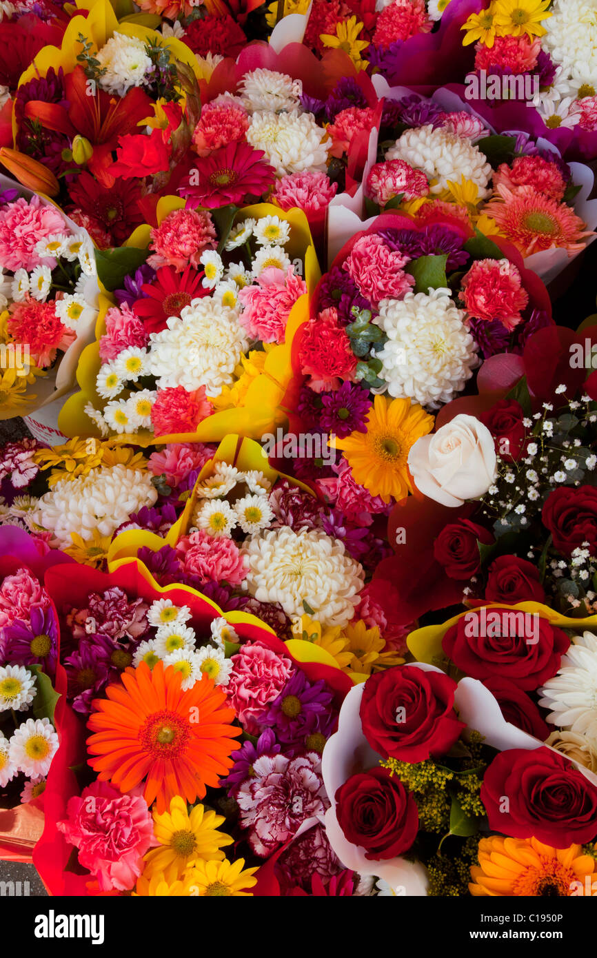 Blumen, Los Angeles Flower District, Downtown LA, Kalifornien, USA