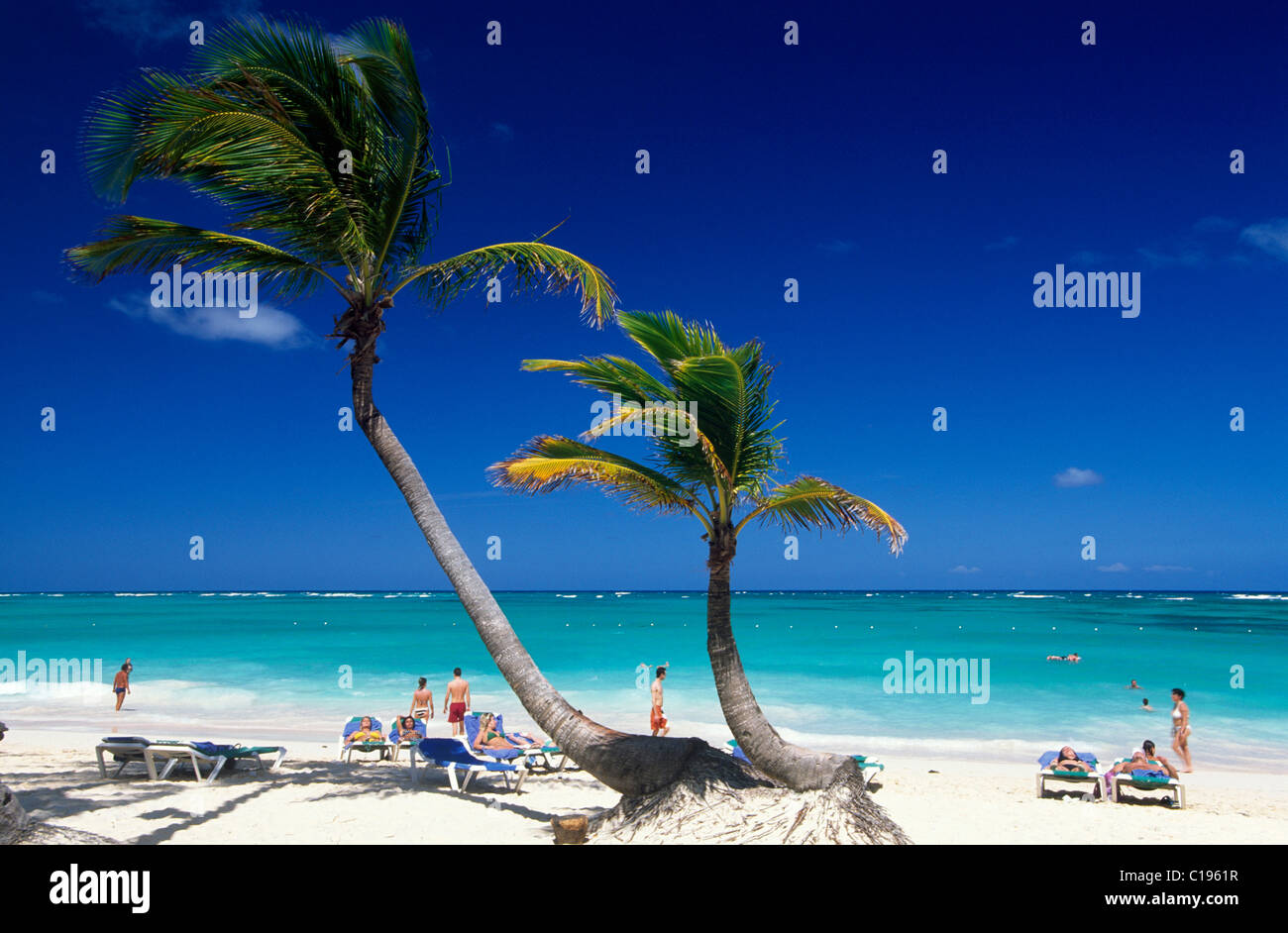 Palme Strand Playa Bavaro, Punta Cana, Dominikanische Republik, Caribbean Stockfoto