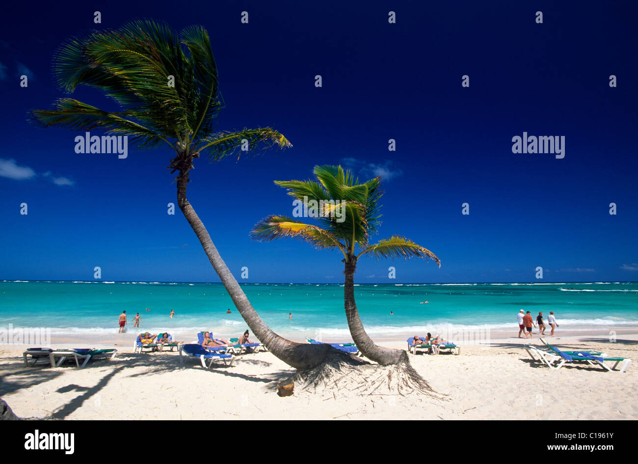 Palme Strand Playa Bavaro, Punta Cana, Dominikanische Republik, Caribbean Stockfoto