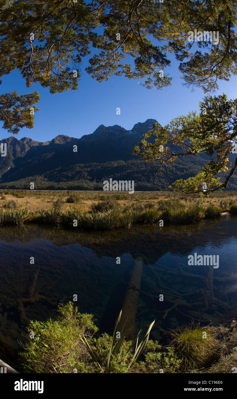 Mirror Lakes, Southland, Südinsel, Neuseeland Stockfoto