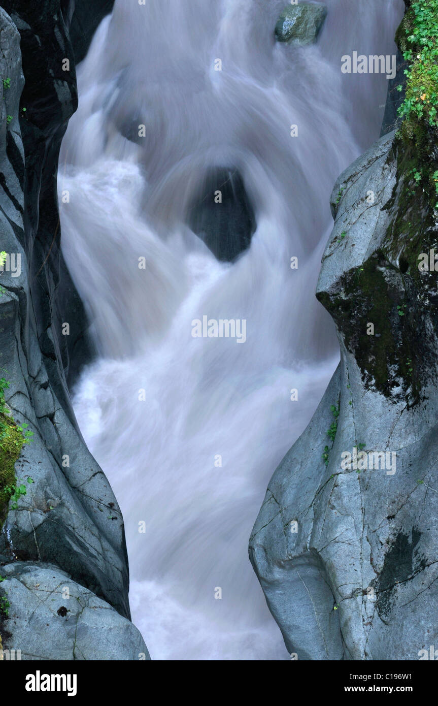 Box Canyon, Mt. Rainier Nationalpark, Washington, USA Stockfoto