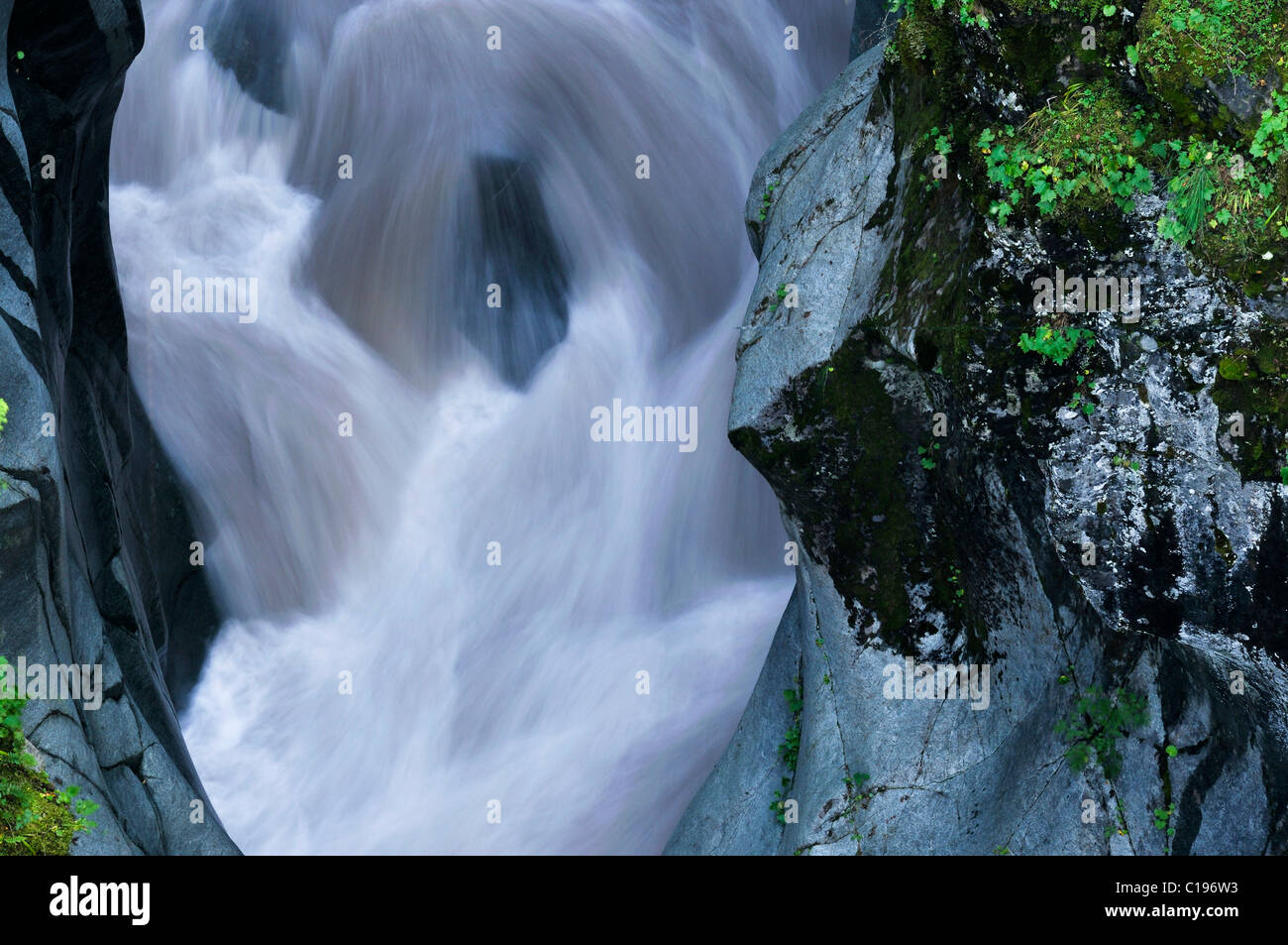 Box Canyon, Mt. Rainier Nationalpark, Washington, USA Stockfoto