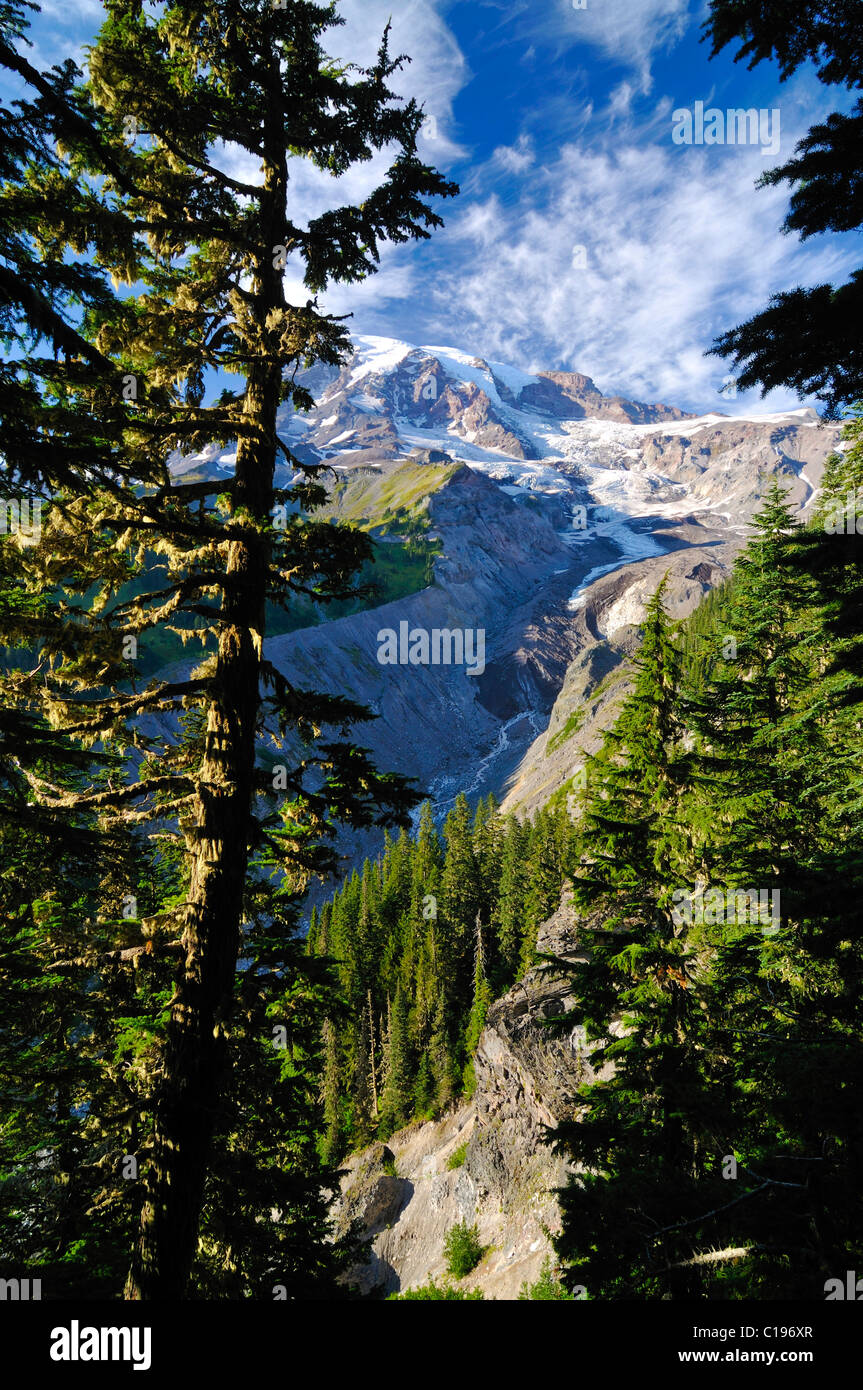 Blick auf den Mount Rainier Gletscher aus der Nisqually Glacier View, Mount Rainier Nationalpark, Washington, USA, Nordamerika Stockfoto