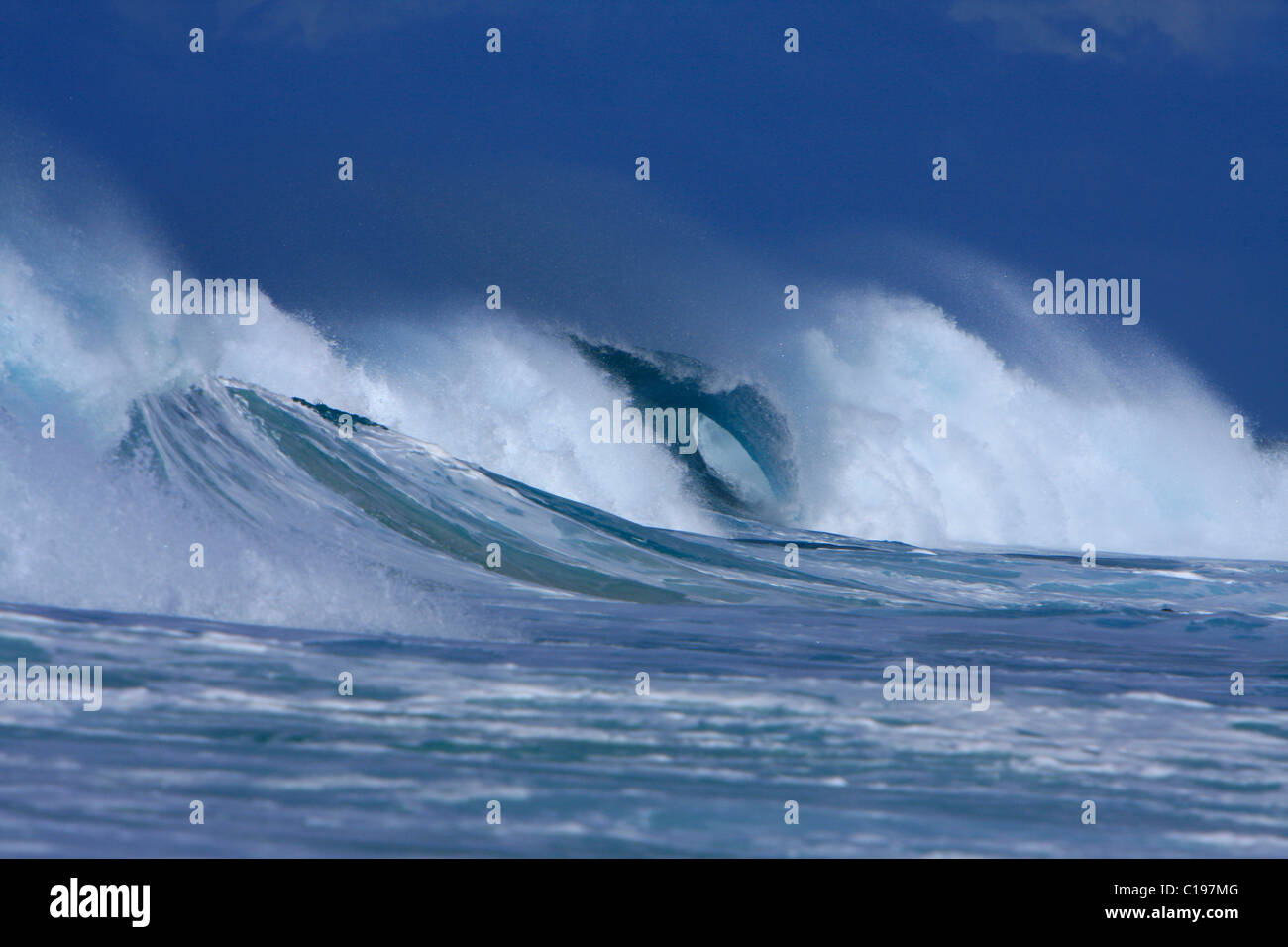 Große Welle vor der Küste von Hawaii, USA Stockfoto