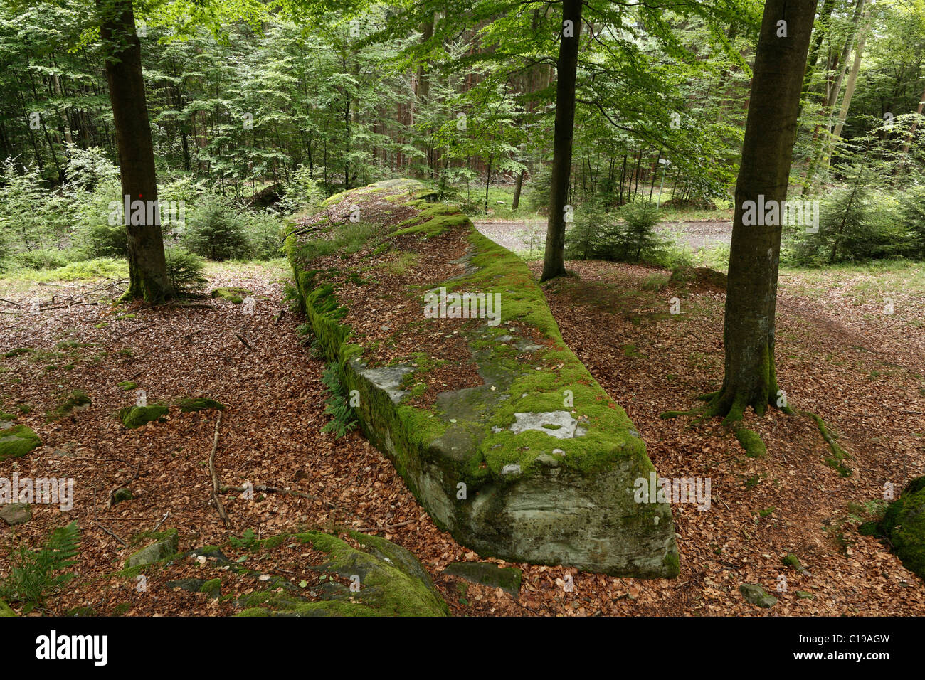 Langen Steinen in der Nähe von Riedenburg, Rhön, untere Franken, Bayern, Deutschland, Europa Stockfoto