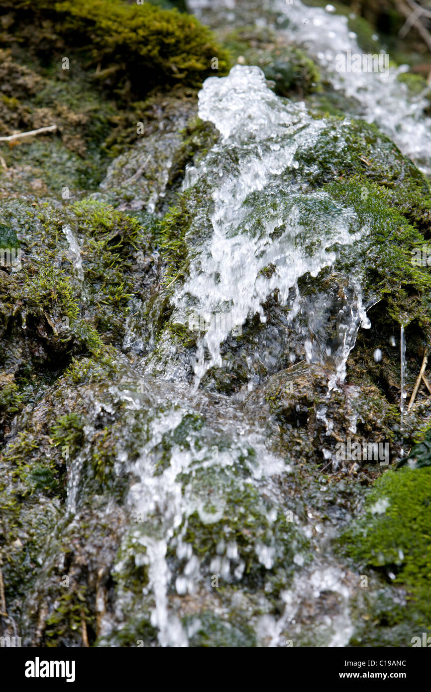 Wasserquelle, Wasserfall, Schaffhausen, Schweiz, Europa Stockfoto