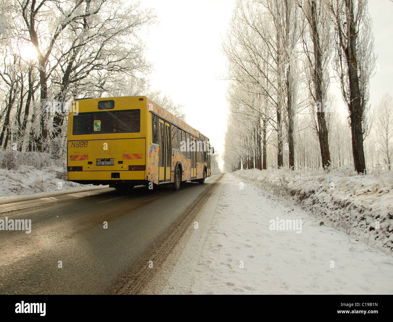 Gelbe MAZ-Bus in Rumänien. Stockfoto