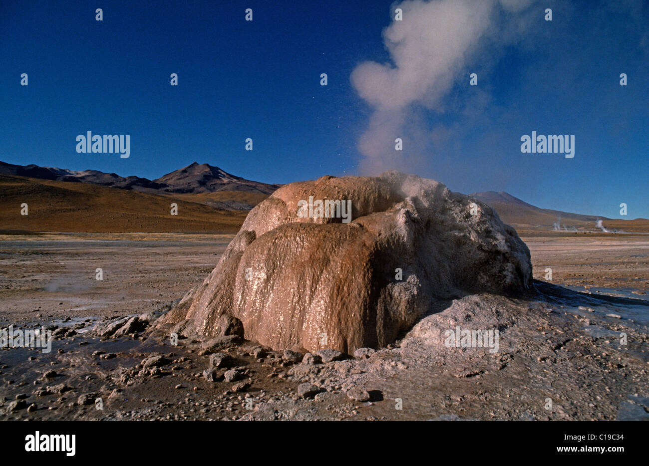 El Tatio Geysirfeld im bolivianischen Hochland, Südamerika Stockfoto