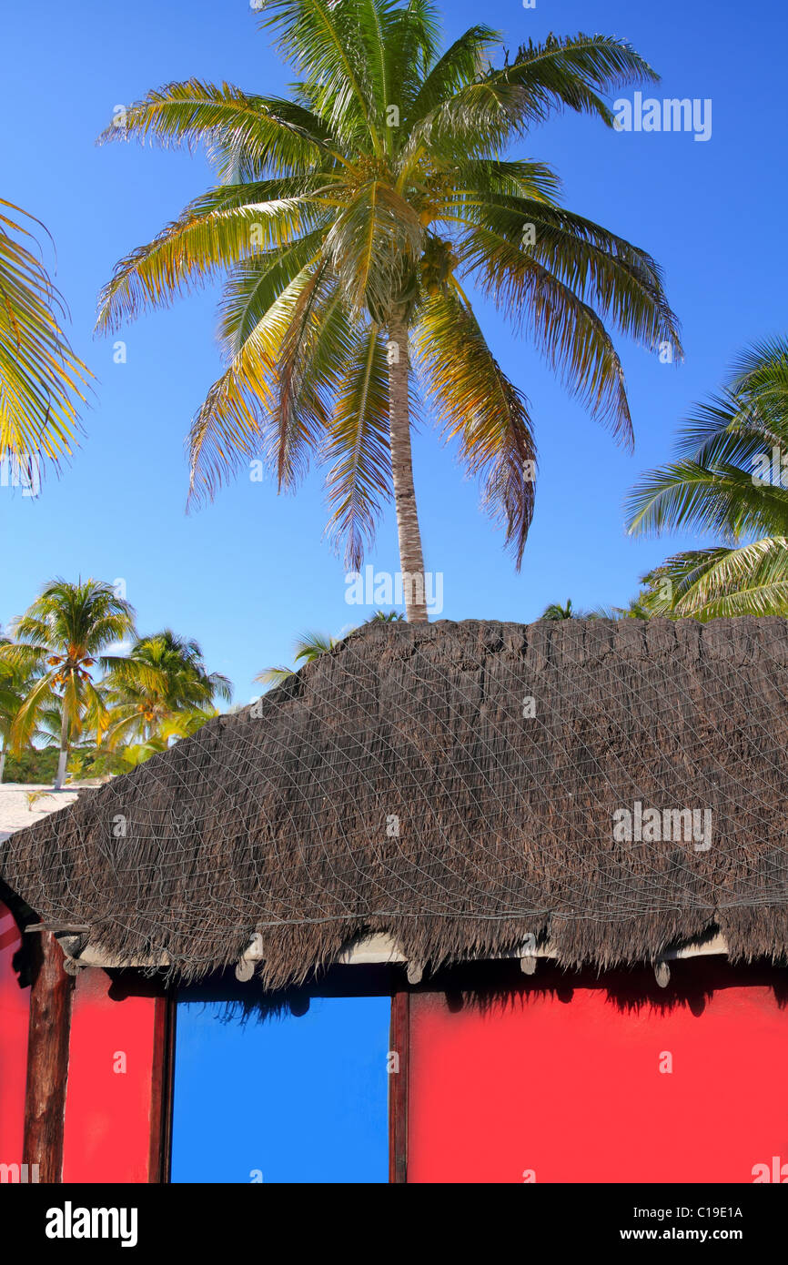 Karibische Hütte rote bunte Haus Kokospalme Bäume Hintergrund Stockfoto