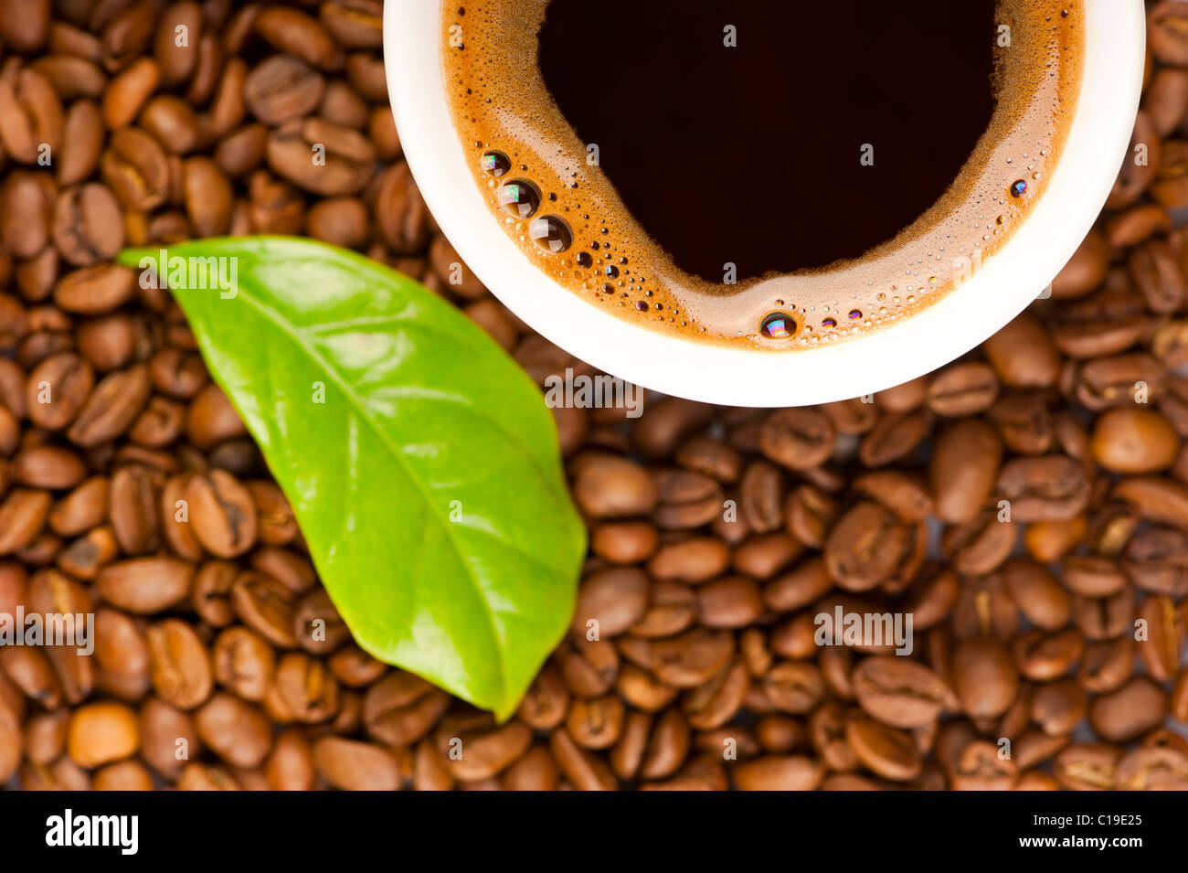 Tasse Kaffee und Kaffeebohnen mit grünen Blatt der Kaffeepflanze. Tasse im Fokus Stockfoto