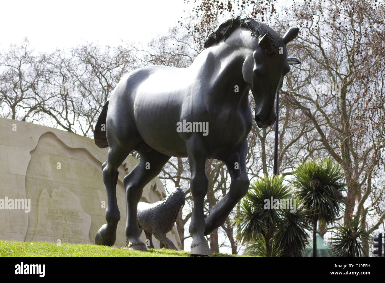 Ein Denkmal der Tiere kämpfte in den großen Kriegen, "sie hatte keine Wahl" London England Stockfoto