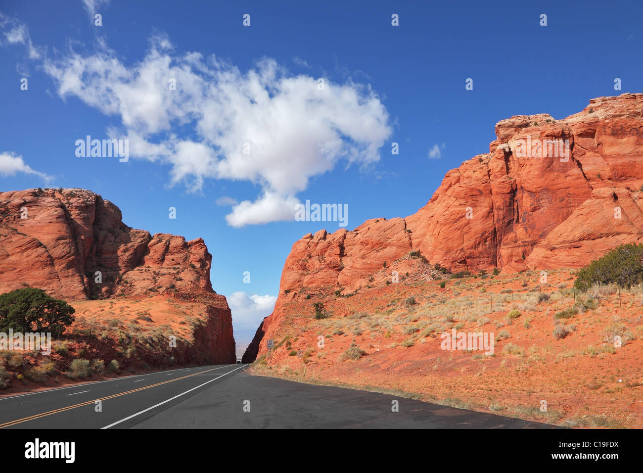 Wunderschöne American road Stockfoto