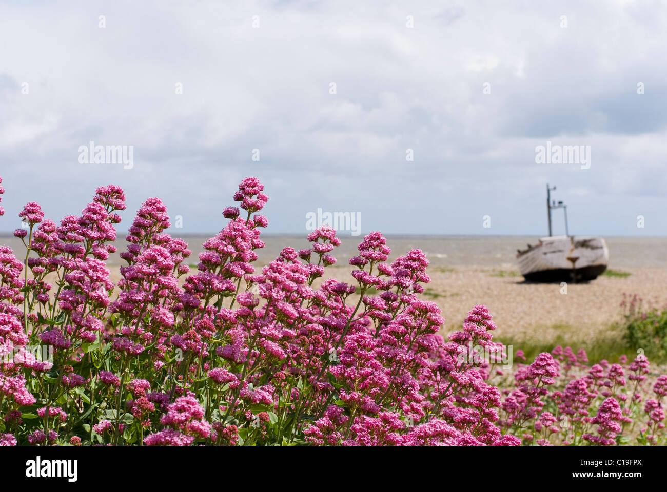 Boot am Strand zu verlassen. Aldeburgh, Suffolk UK. Stockfoto