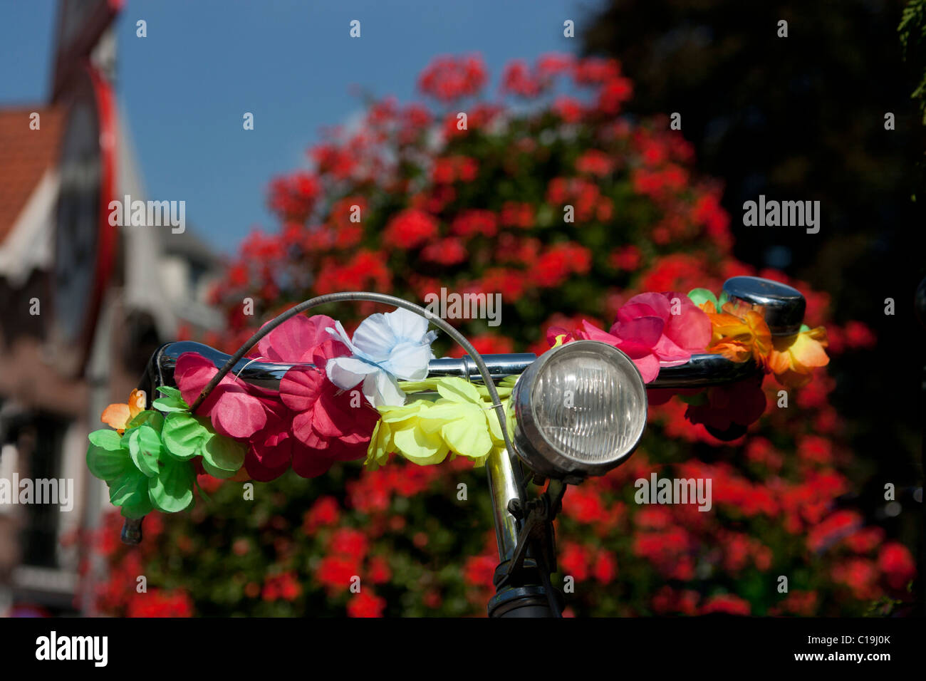 Fahrradlenker verziert mit Blumen, Holland Stockfotografie - Alamy
