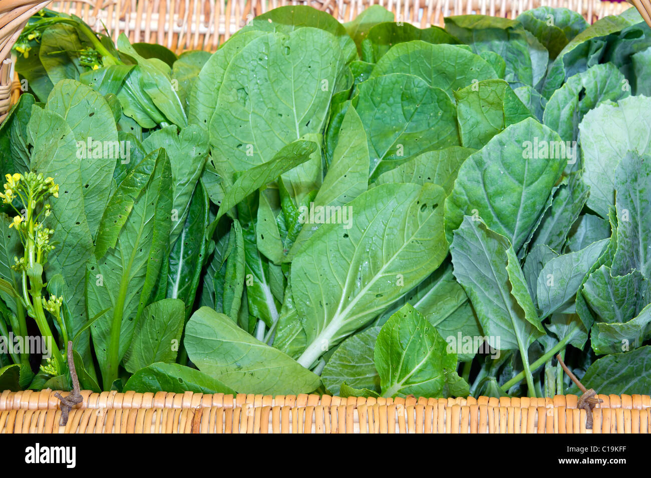 Bio chinesisches grünes Gemüse in geflochtenen Korb Stockfoto