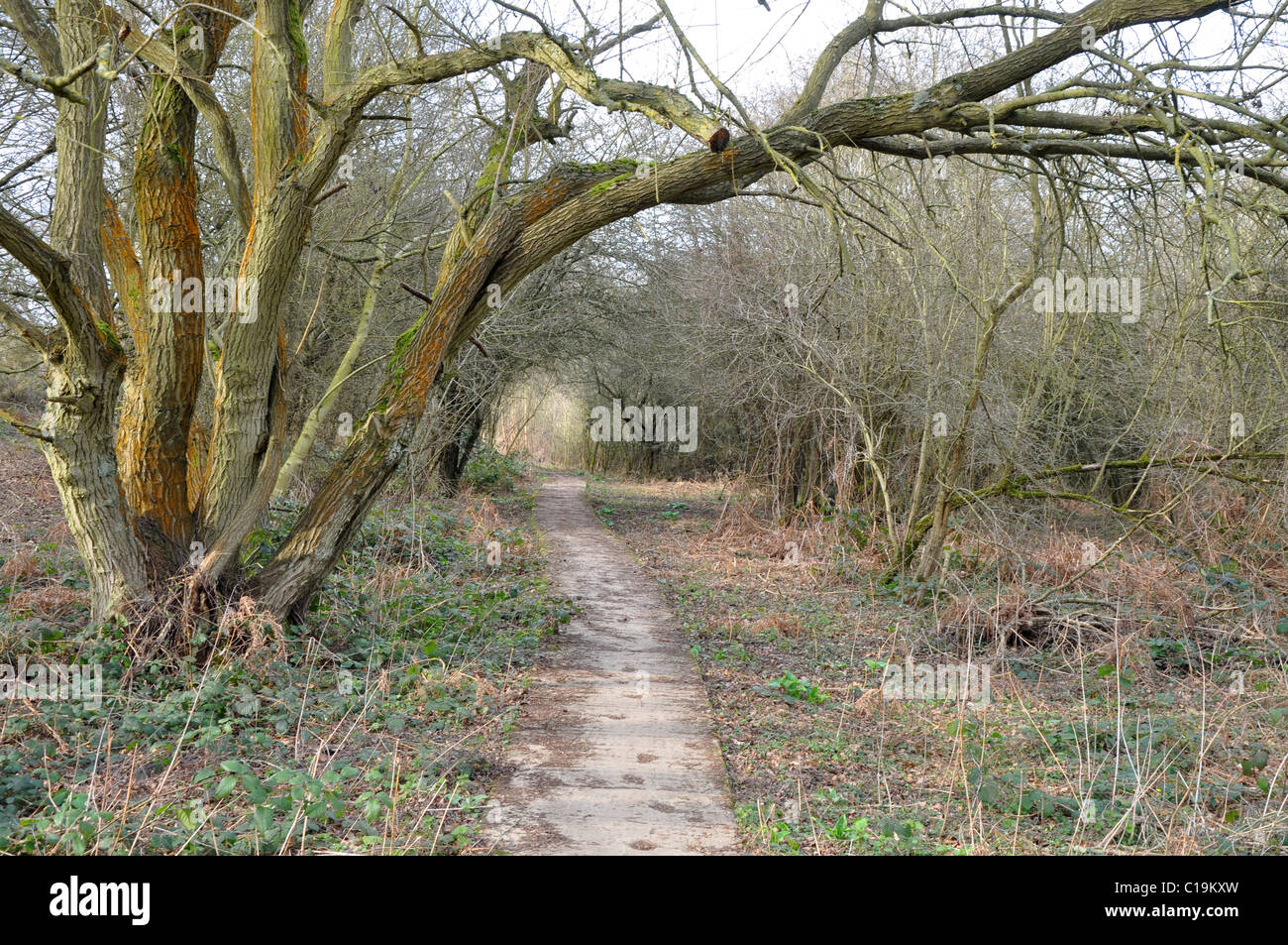 Landschaft Fuß im Norden Leigh, in der Nähe von Witney, Oxfordshire Stockfoto