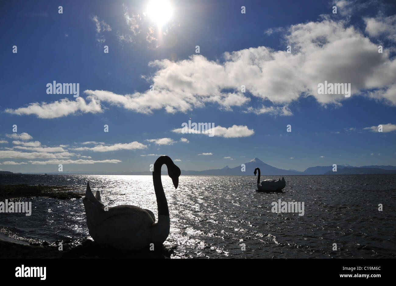 Solar Silhouette Blick auf den Vulkan Osorno, zwei künstliche Schwäne auf dem dunklen Wasser des See Llanquihue, Chile Stockfoto