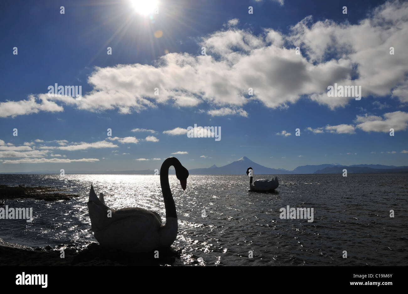 Solar Silhouette Blick auf Volcan Osorno, zwei schwarze künstlichen Schwäne auf dem Wasser des Sees Llanquihue, Llanquihue, Chile Stockfoto