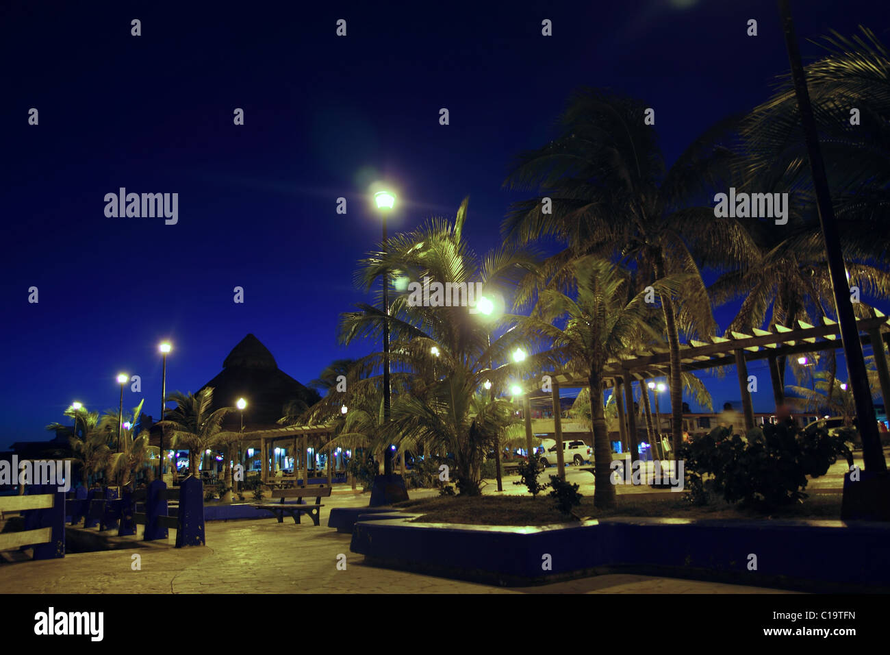 Puerto Morelos Nacht Palmen in Riviera Maya Stockfoto