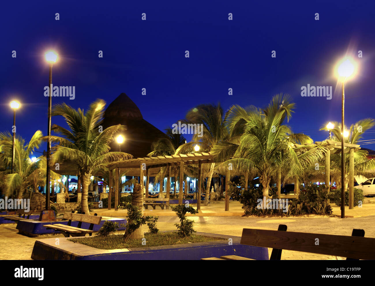 Puerto Morelos Nacht Palmen in Riviera Maya Stockfoto