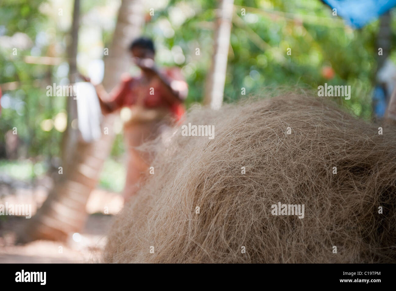 Frau, die in der Nähe von Haufen von Kokos, Kochi, Kerala, Indien Stockfoto