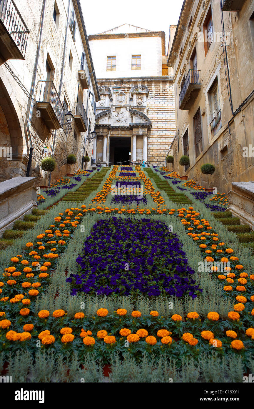 Blumenkunst Ausstellung in Girona. Cataluña. Spanien. Stockfoto