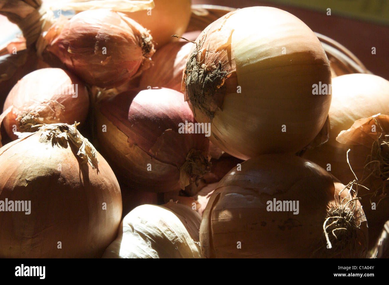 Gelbe Zwiebeln, Knoblauch und Schalotten in einem Weidenkorb im Sommerlicht einer Küche in der Provence Stockfoto