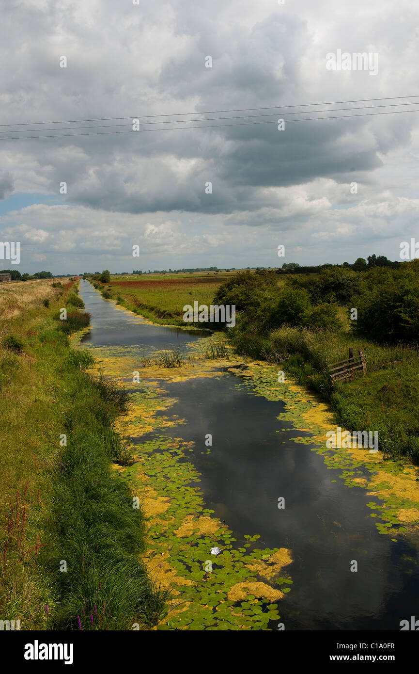 Entwässerungskanal in der Nähe von Ely, Cambridgeshire Stockfoto