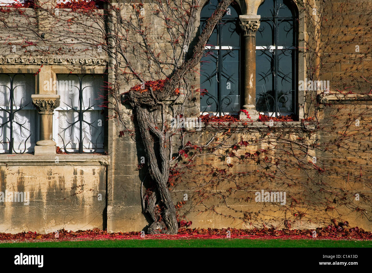 Blätter im Herbst an der Christ Church College der Universität Oxford, Oxfordshire, England, UK Stockfoto