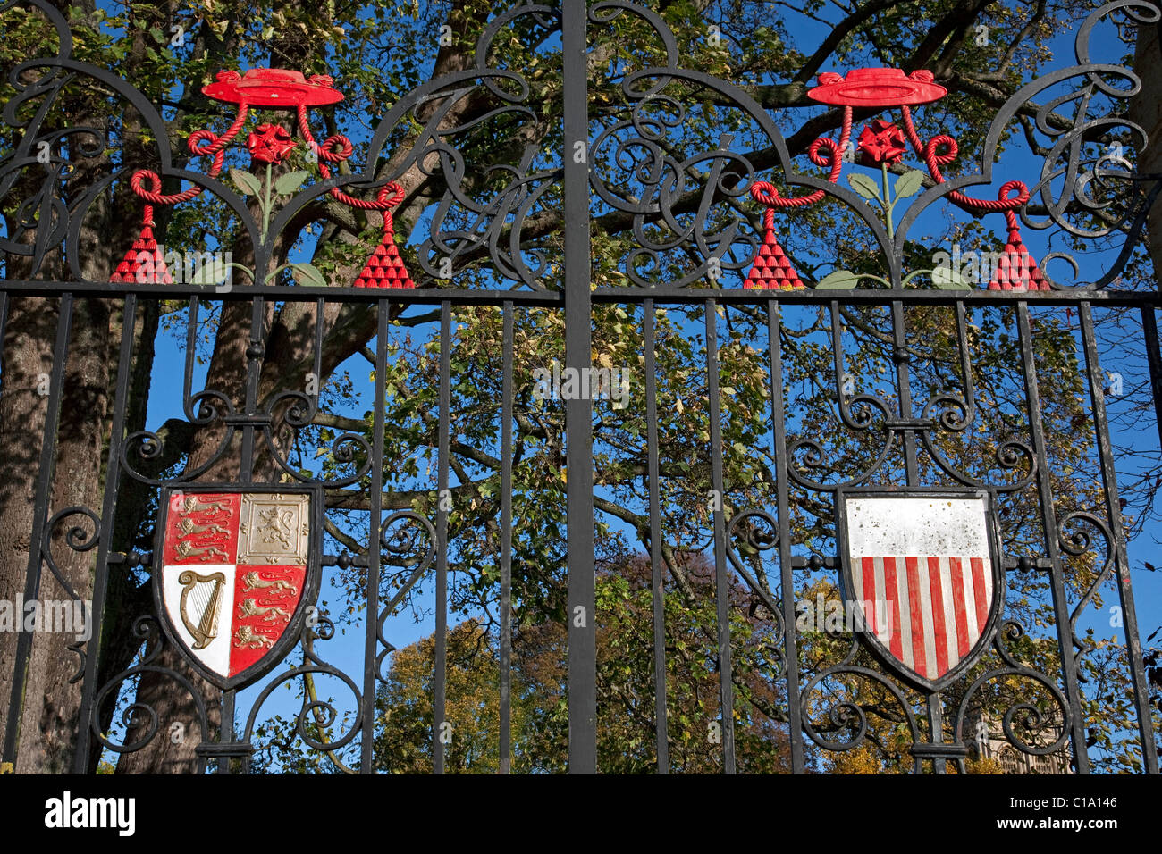 Tor mit Wappen des Christ Church College der Universität Oxford, Oxfordshire, England, UK Stockfoto