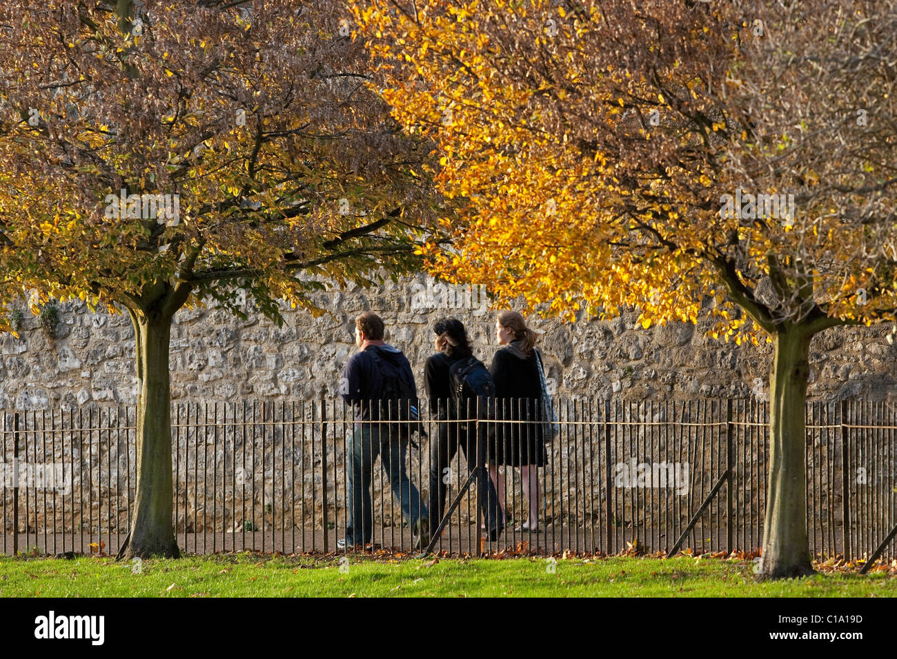 Studenten, die zu Fuß in Park im Herbst an der Universität Oxford, Oxfordshire, England, UK Stockfoto