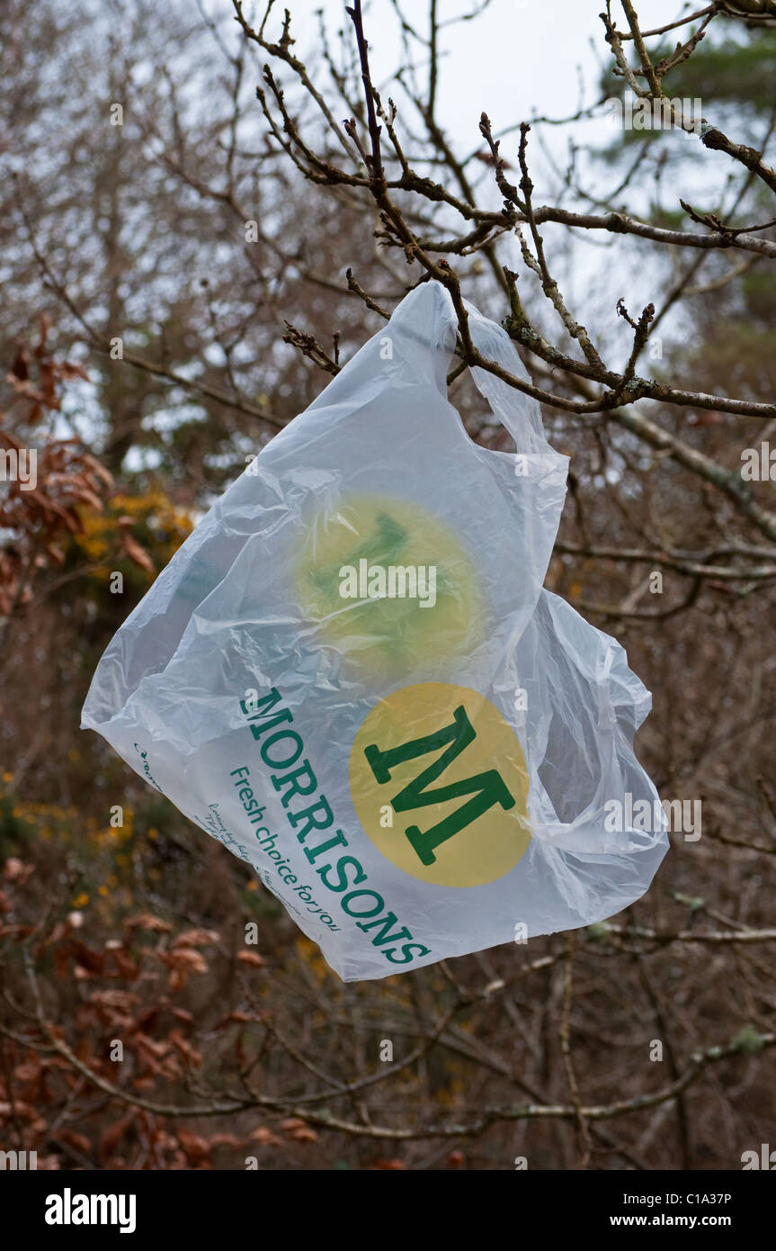 Eine Morrisons Plastiktüte stecken in den Zweigen des Baumes Stockfoto