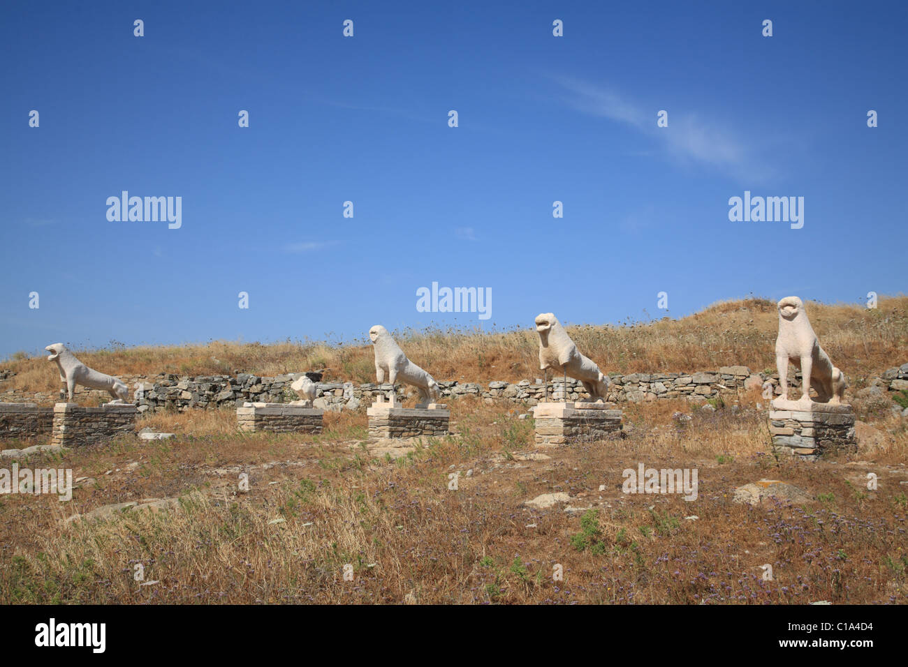 Naxos-Löwen-Statuen, Terrasse des Löwen, Delos, Kykladen, Griechenland Stockfoto