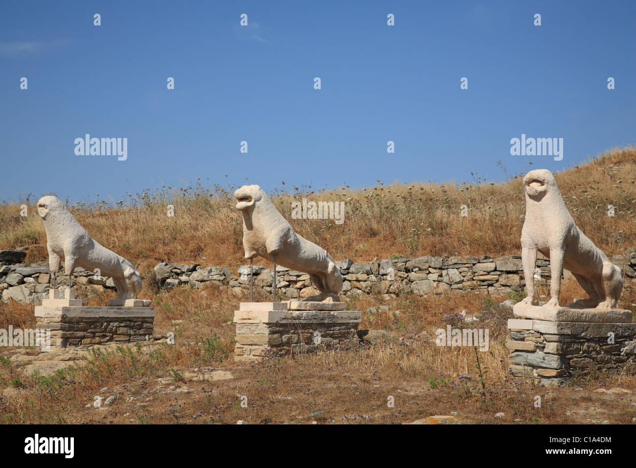 Naxos-Löwen-Statuen, Terrasse des Löwen, Delos, Kykladen, Griechenland Stockfoto