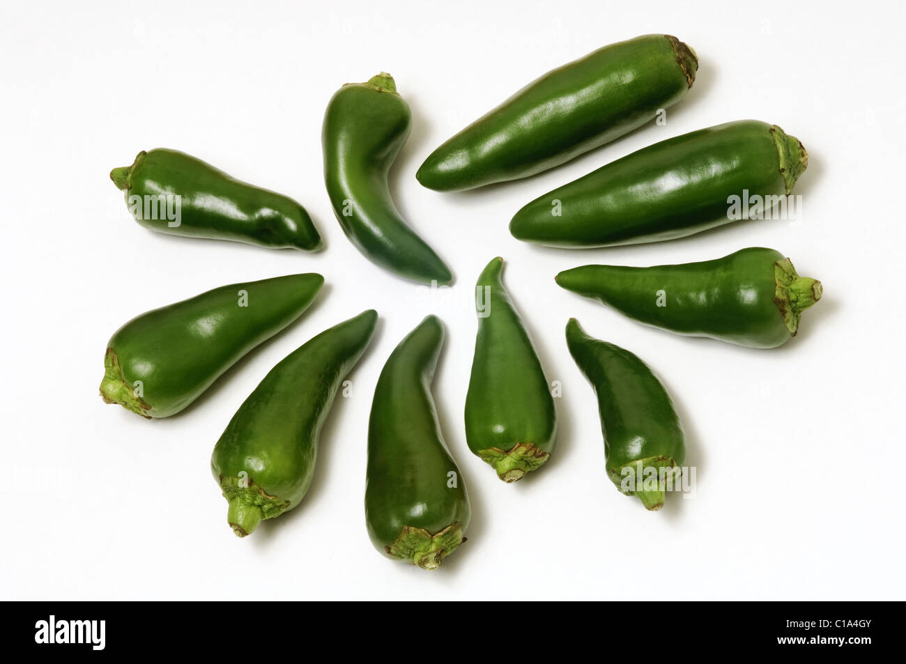 Jalapeno Chili Paprika auf weißem Hintergrund Stockfoto