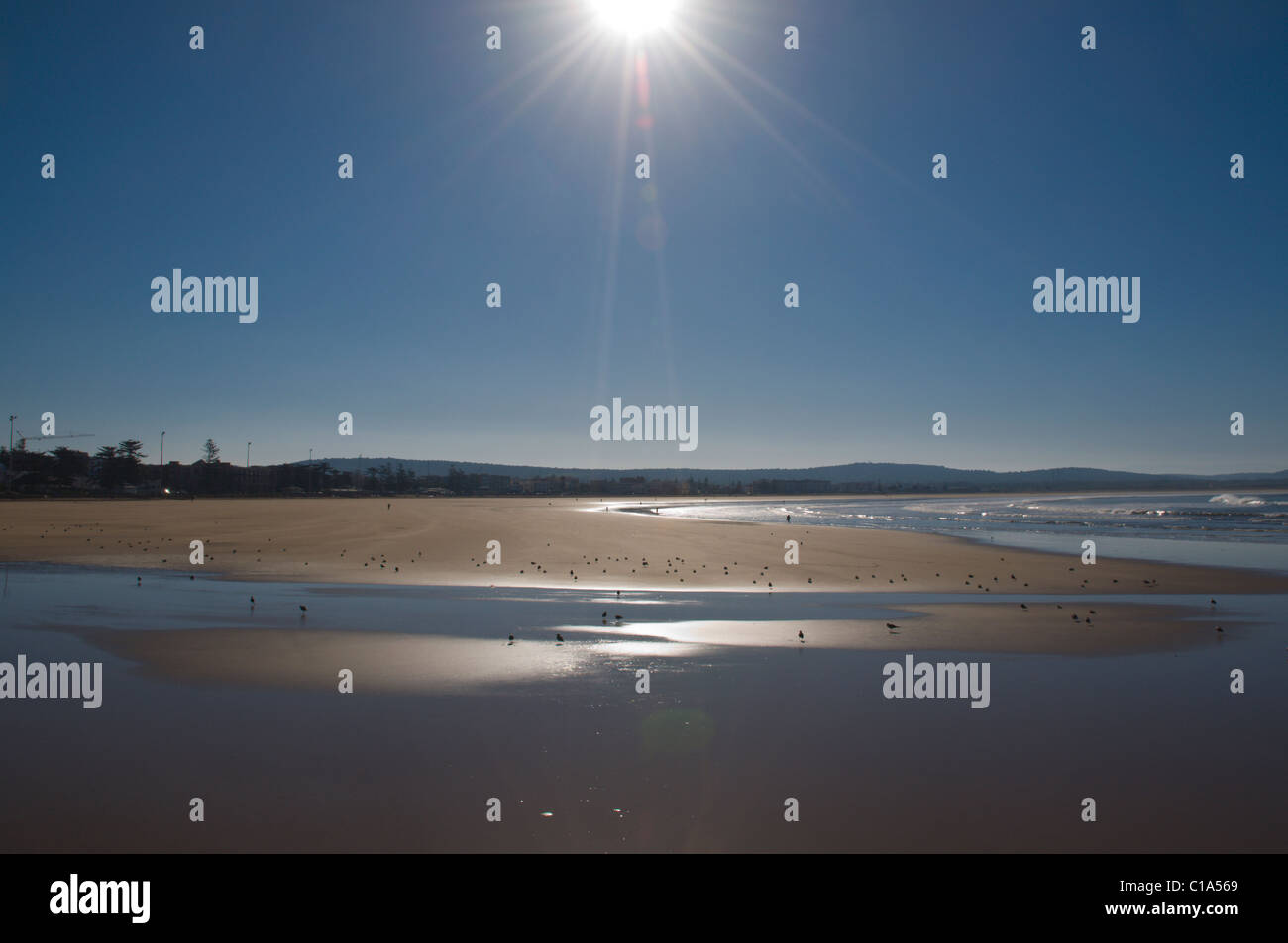 Strand am Morgen Essaouira zentralen Marokko in Nordafrika Stockfoto