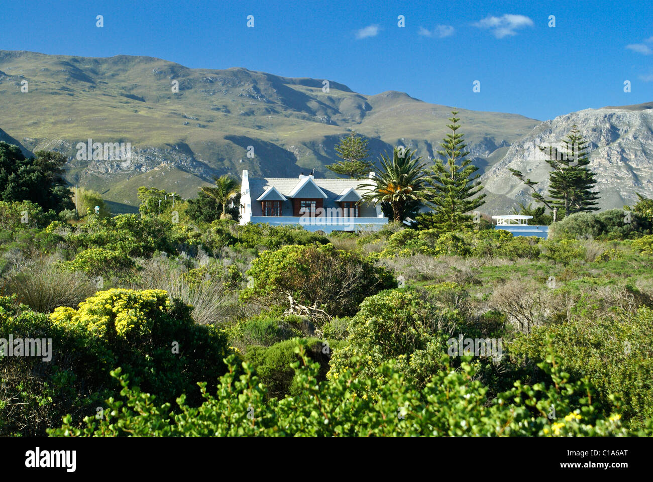 Haus in Hermanus, Western Cape, Südafrika Stockfoto